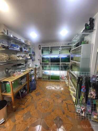 Сдаётся  объект 65 м², м. Иншаатчылар, photo 5 from 12