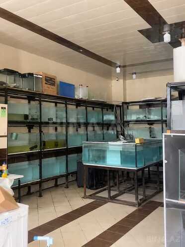 Продаётся  объект 70 м², м. Нефтчиляр, photo 3 from 8