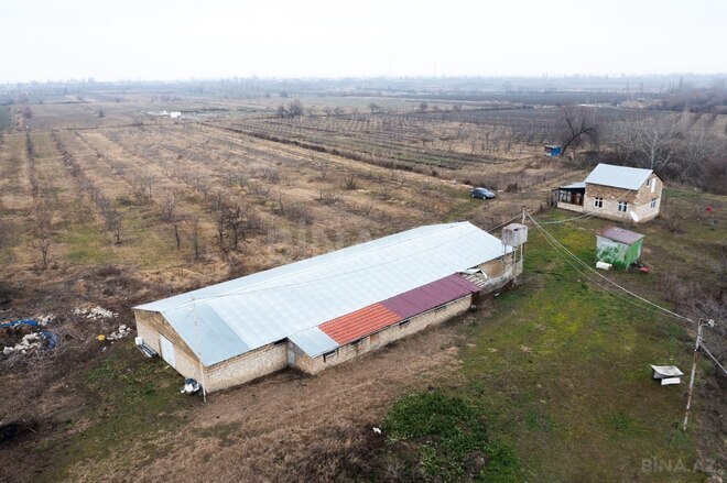 Satılır  torpaq 200 sot, photo 19 from 30