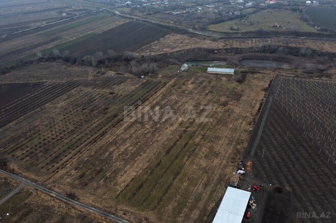 Satılır  torpaq 200 sot, photo 29 from 30