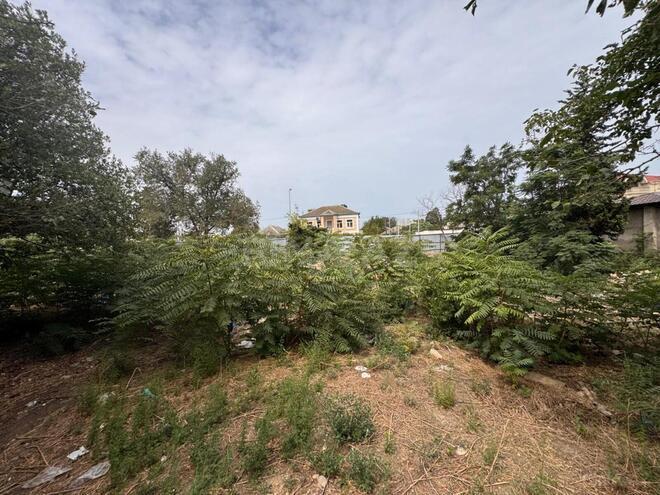 Продаётся  участок 31 сот, пос. Бакиханова, photo 10 from 20