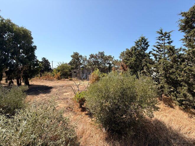 Satılır  torpaq 4 sot, Şüvəlan q., photo 3 from 11
