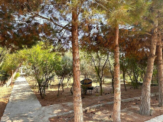 Satılır 8 otaqlı həyət evi/bağ evi 400 m², Pirşağı q., photo 18 from 24