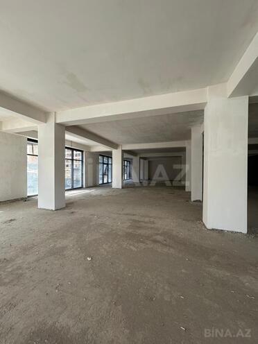 Сдаётся  объект 848 м², м. Низами, photo 6 from 11