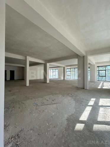 Сдаётся  объект 848 м², м. Низами, photo 8 from 11