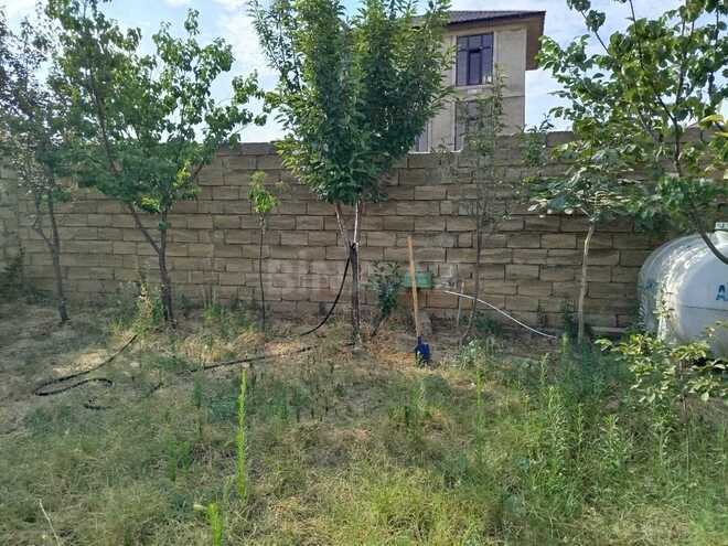 Satılır  torpaq 2.5 sot, Saray q., photo 6 from 8