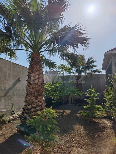 Satılır 10 otaqlı həyət evi/bağ evi 550 m², Azadlıq Prospekti m., photo 18 from 22