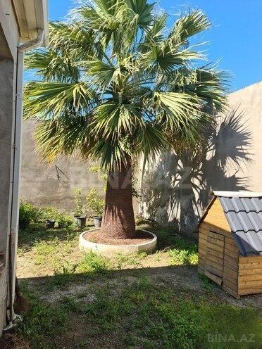 Satılır 10 otaqlı həyət evi/bağ evi 550 m², Azadlıq Prospekti m., photo 16 from 22
