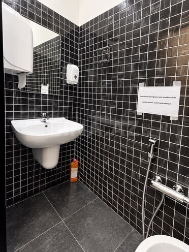 Сдаётся  объект 225 м², м. Сахил, photo 15 from 17