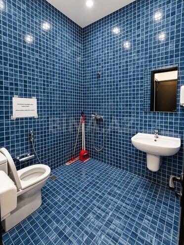 Сдаётся  объект 225 м², м. Сахил, photo 13 from 17