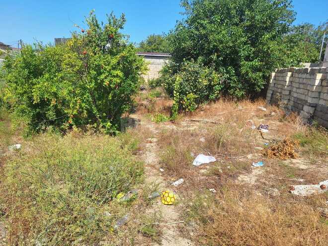 Satılır  torpaq 5 sot, Novxanı q., photo 7 from 17