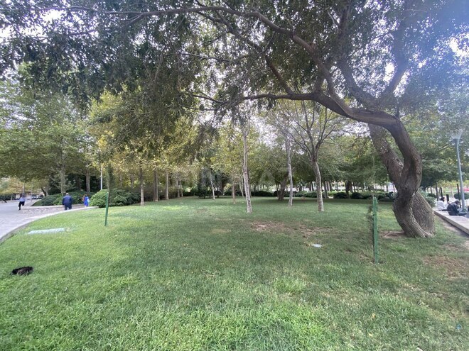 Satılır 4 otaqlı yeni tikili 240 m², Nərimanov r., photo 25 from 27