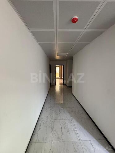Сдаётся 20-комн. офис 1 400 м², м. Элмляр Академиясы, photo 10 from 25