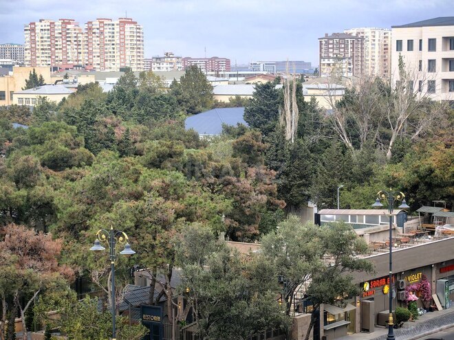 Satılır 1 otaqlı köhnə tikili 48 m², Gənclik m., photo 14 from 27