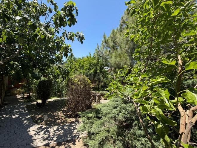 Satılır  torpaq 2 sot, Səbail r., photo 6 from 11