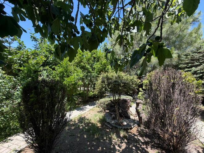 Satılır  torpaq 2 sot, Səbail r., photo 3 from 11