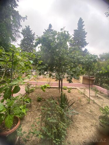 Satılır 3 otaqlı köhnə tikili 65 m², Neftçilər m., photo 18 from 20