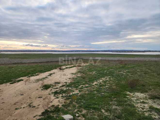 Продаётся  участок 100 сот, пос. Кюрдаханы, photo 4 from 25