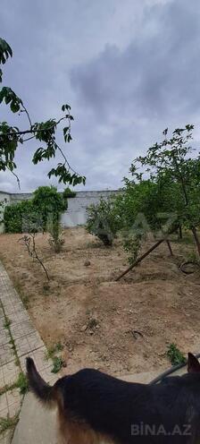 Сдаётся  объект 250 м², м. Кара Караев, photo 23 from 25
