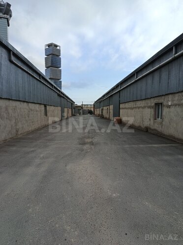 Сдаётся  объект 1 150 м², м. Улдуз, photo 5 from 13