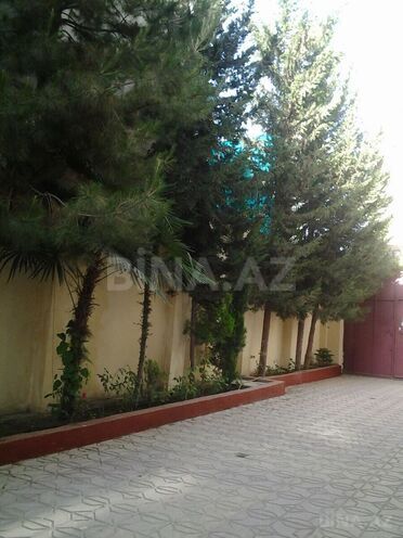 İcarəyə verilir  obyekt 750 m², Binəqədi r., photo 21 from 32