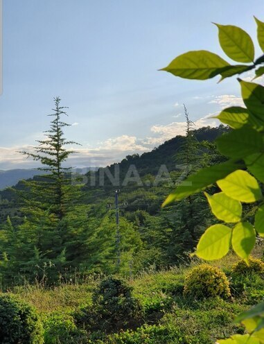 Satılır  torpaq 50 sot, photo 5 from 9