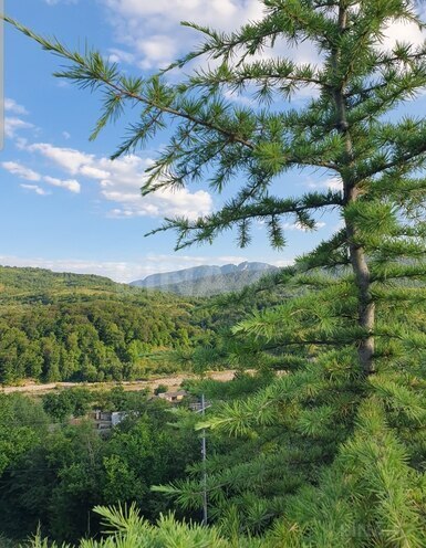 Satılır  torpaq 50 sot, photo 1 from 9