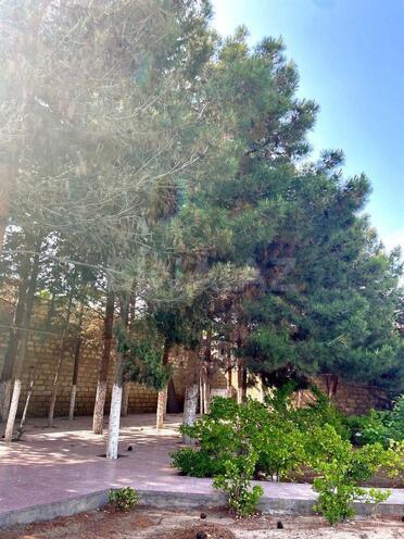 Satılır 3 otaqlı həyət evi/bağ evi 90 m², Nardaran q., photo 10 from 14