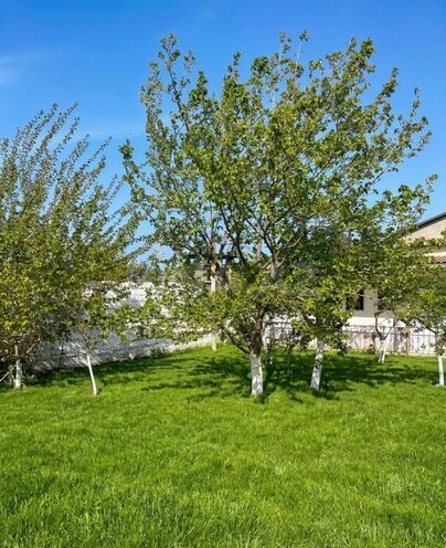 Satılır 4 otaqlı həyət evi/bağ evi 100 m², Novxanı q., photo 7 from 17