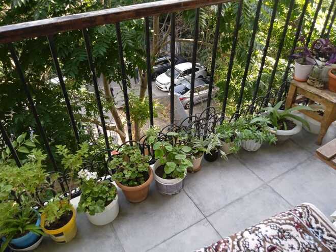 Продаётся 3-комн. вторичка 70 м², м. Низами, photo 17 from 21