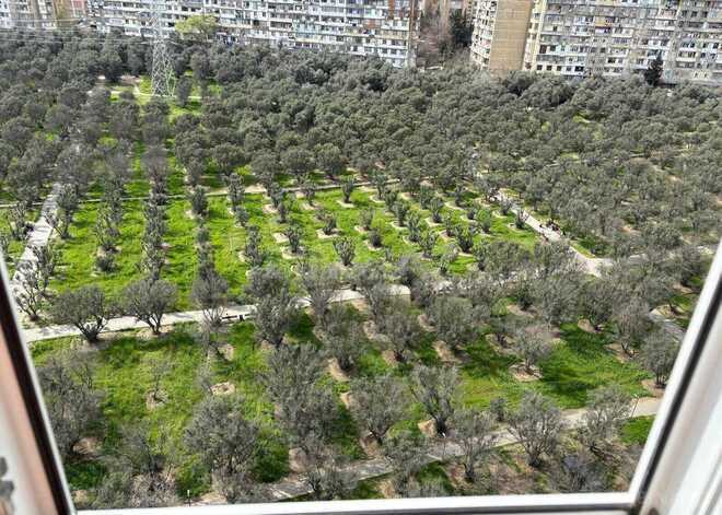 Satılır 3 otaqlı yeni tikili 133 m², Nəsimi m., photo 17 from 19