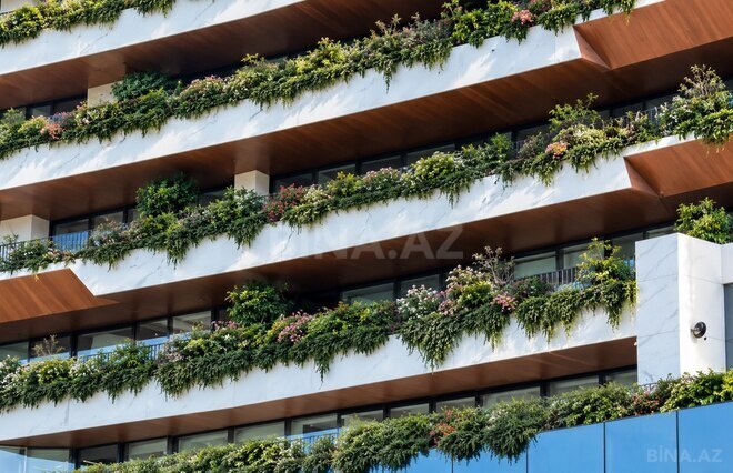 Продаётся 4-комн. новостройка 379 м², пос. Баилова, photo 4 from 32