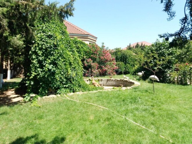 İcarəyə verilir 5 otaqlı həyət evi/bağ evi 450 m², Badamdar q., photo 14 from 25