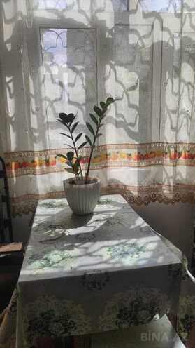 Сдаётся 2-комн. вторичка 40 м², м. Элмляр Академиясы, photo 7 from 13