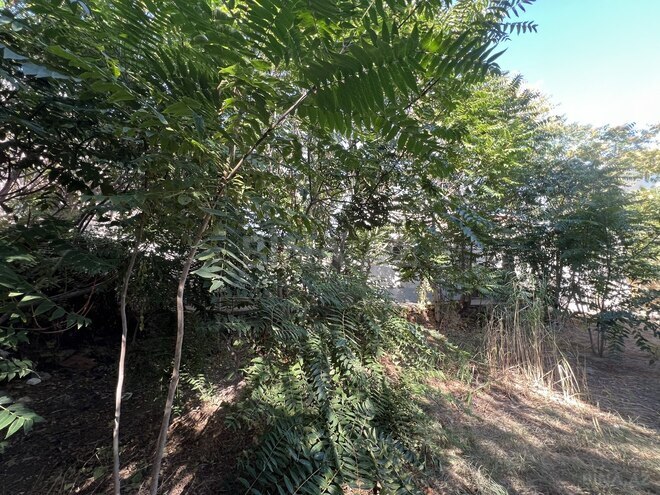Продаётся  участок 3.8 сот, м. Насими, photo 3 from 4