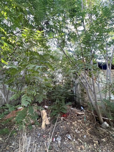 Продаётся  участок 3.8 сот, м. Насими, photo 1 from 4