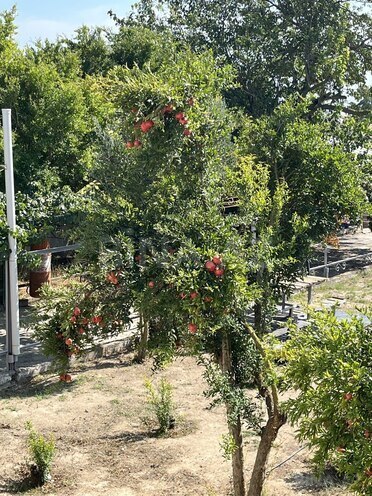Продаётся 5-комн. дом/дача 196 м², пос. Тюркан, photo 25 from 30