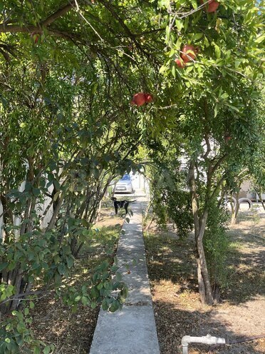 Продаётся 5-комн. дом/дача 196 м², пос. Тюркан, photo 28 from 30