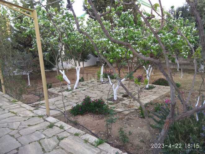 Satılır 6 otaqlı həyət evi/bağ evi 320 m², Bilgəh q., photo 5 from 13