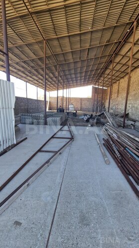 Продается  участок 120 сот, пос. Бина, photo 13 from 20