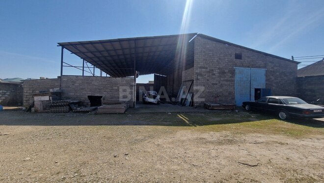 Продается  участок 120 сот, пос. Бина, photo 6 from 20