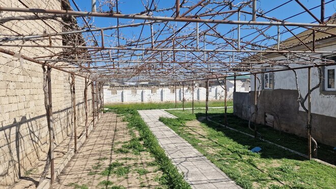 Продается  участок 120 сот, пос. Бина, photo 15 from 20