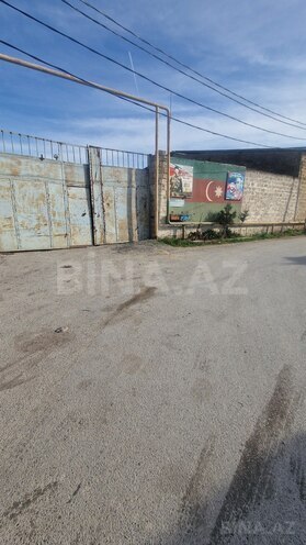 Продается  участок 120 сот, пос. Бина, photo 9 from 20