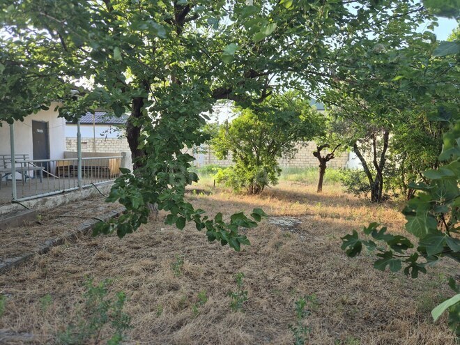 Satılır  torpaq 8 sot, Bilgəh q., photo 8 from 10