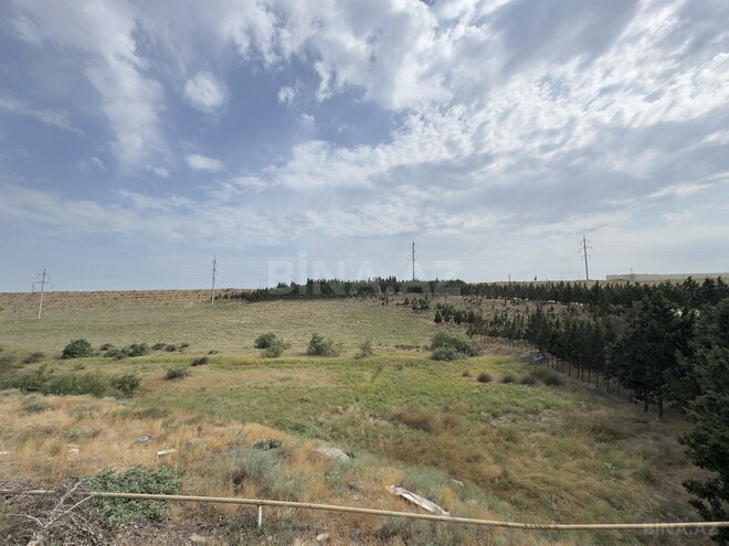Satılır  torpaq 250 sot, Saray q., photo 6 from 11