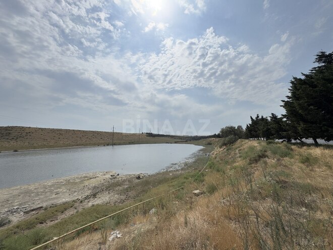 Satılır  torpaq 250 sot, Saray q., photo 9 from 11