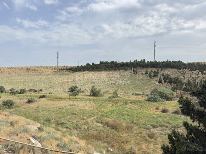 Satılır  torpaq 250 sot, Saray q., photo 5 from 11