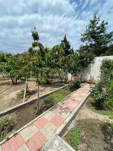 Satılır 6 otaqlı həyət evi/bağ evi 180 m², Novxanı q., photo 8 from 32