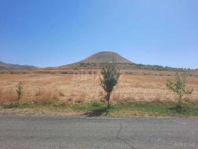 Satılır  torpaq 25 sot, photo 4 from 7