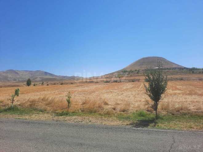 Satılır  torpaq 25 sot, photo 5 from 7